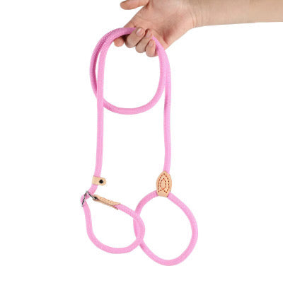 ⭐️NEW ITEM⭐️NYLON ROPE LEASH