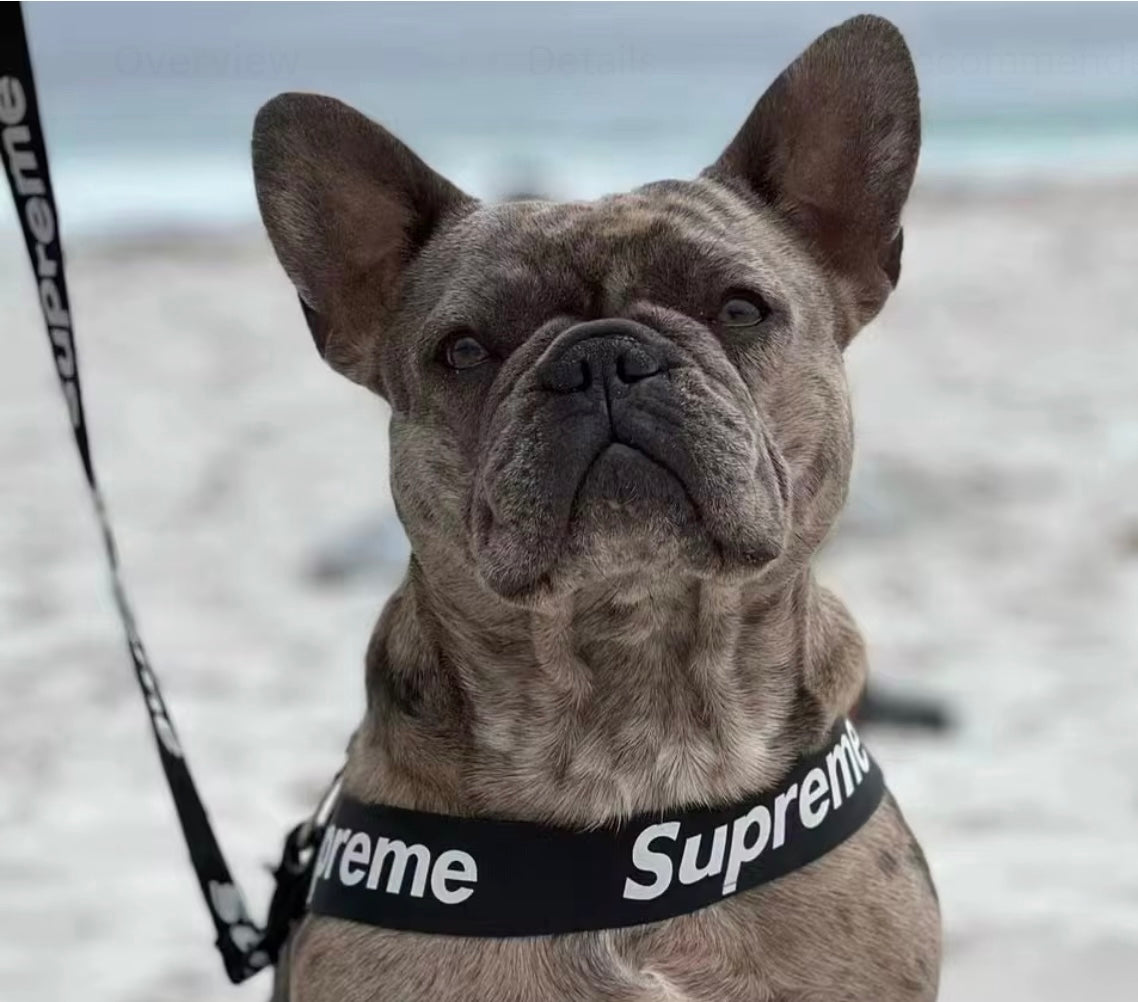 SUPREME 2PC HARNESS SET
