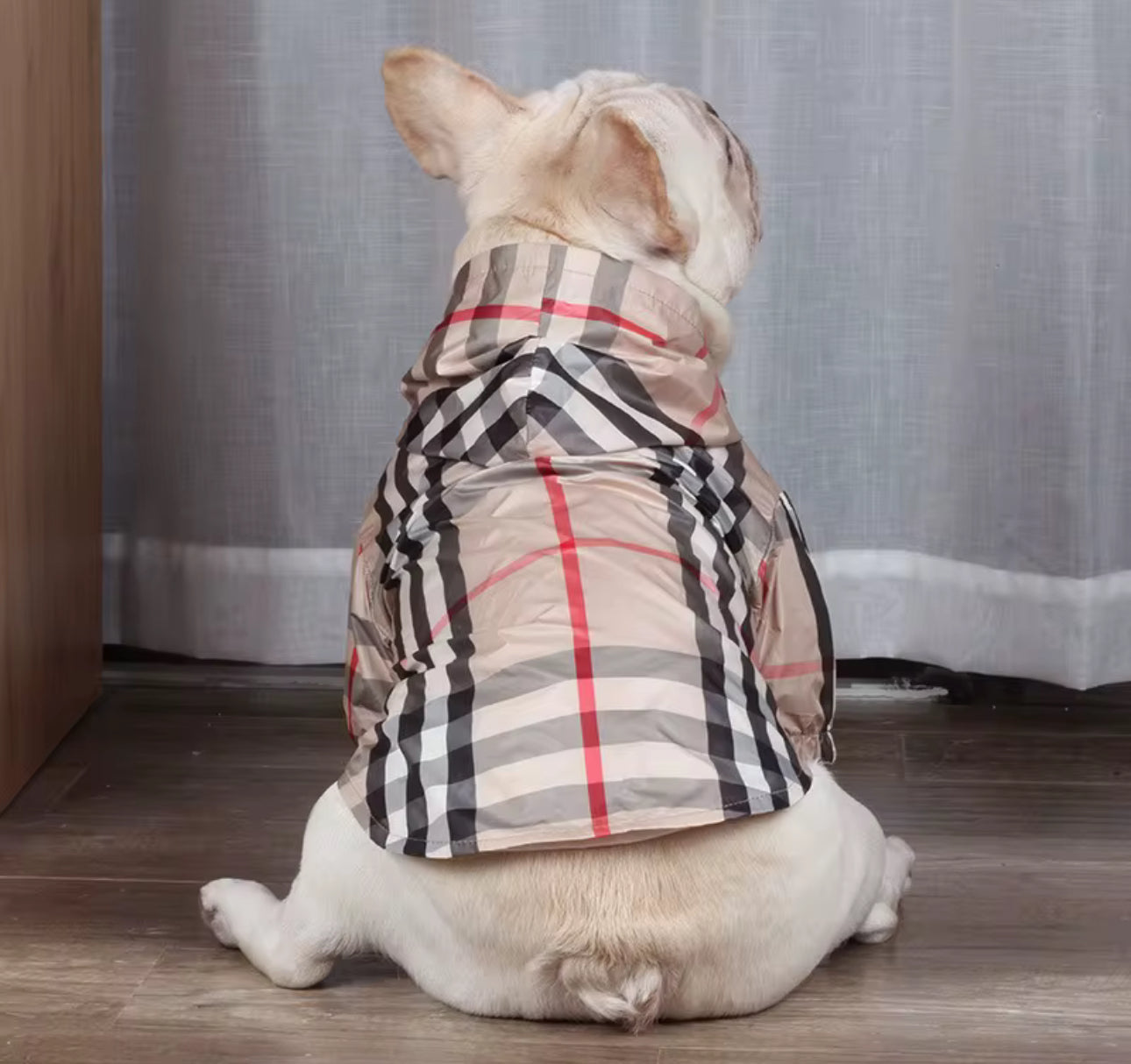 FASHION DOG RAIN COAT