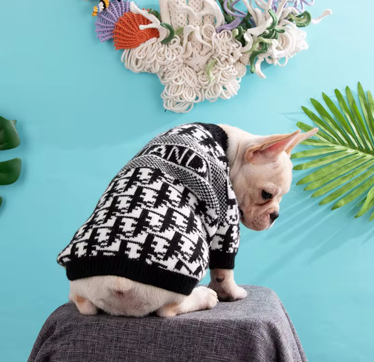 CHRISTIANDIOR STYLE DOG SWEATER
