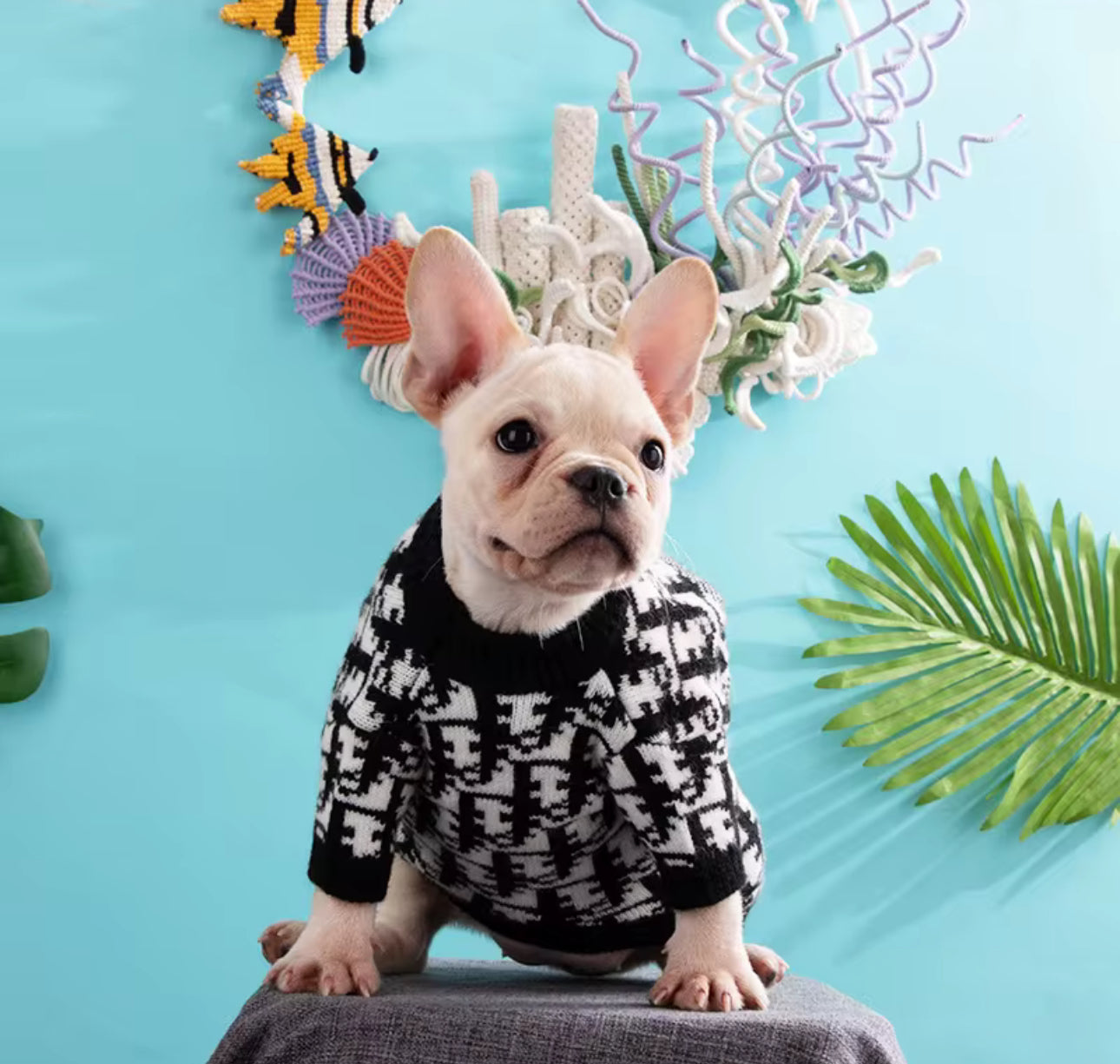 CHRISTIANDIOR STYLE DOG SWEATER