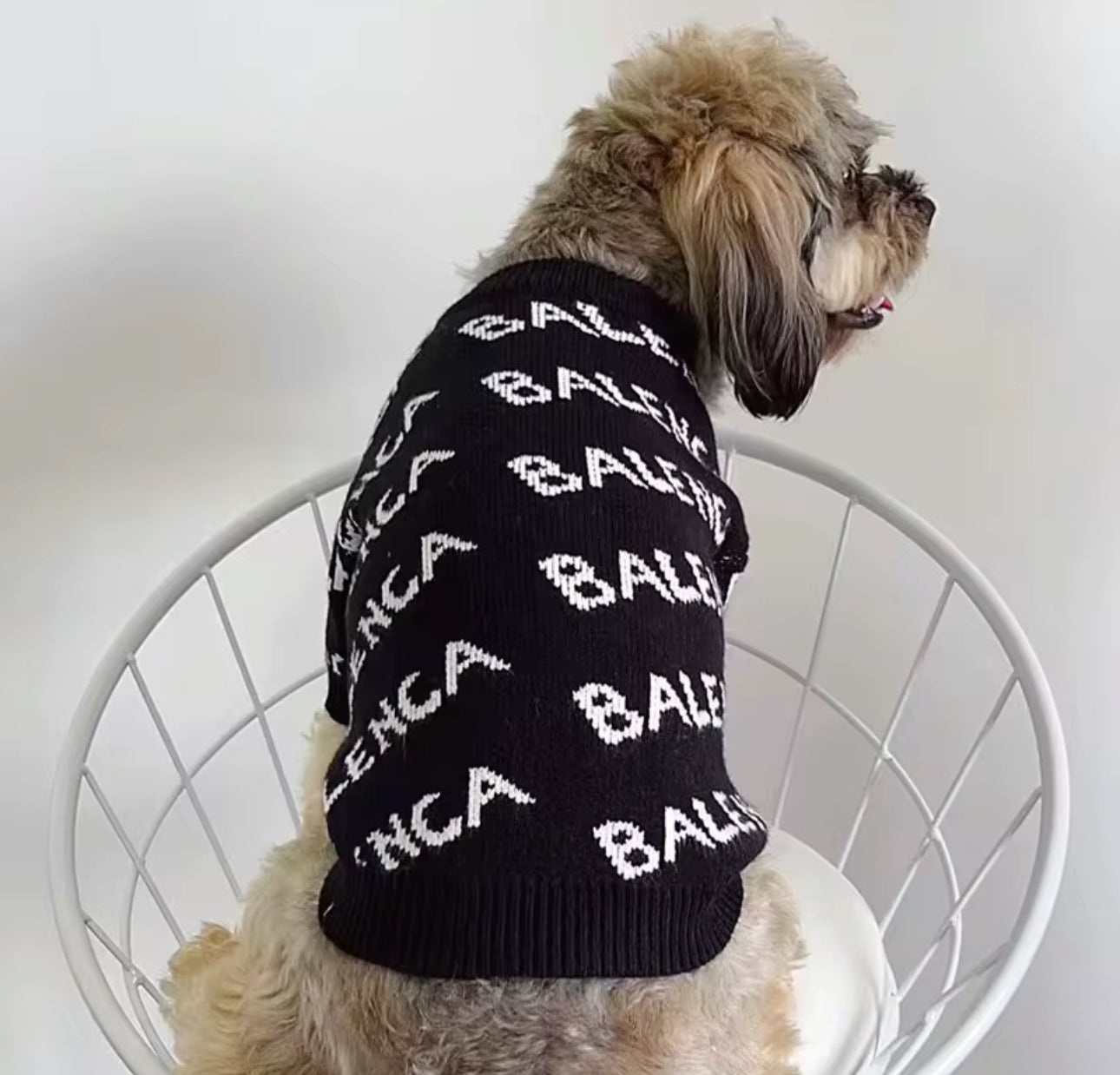 BALENCIAGA STYLE DOG SWEATER
