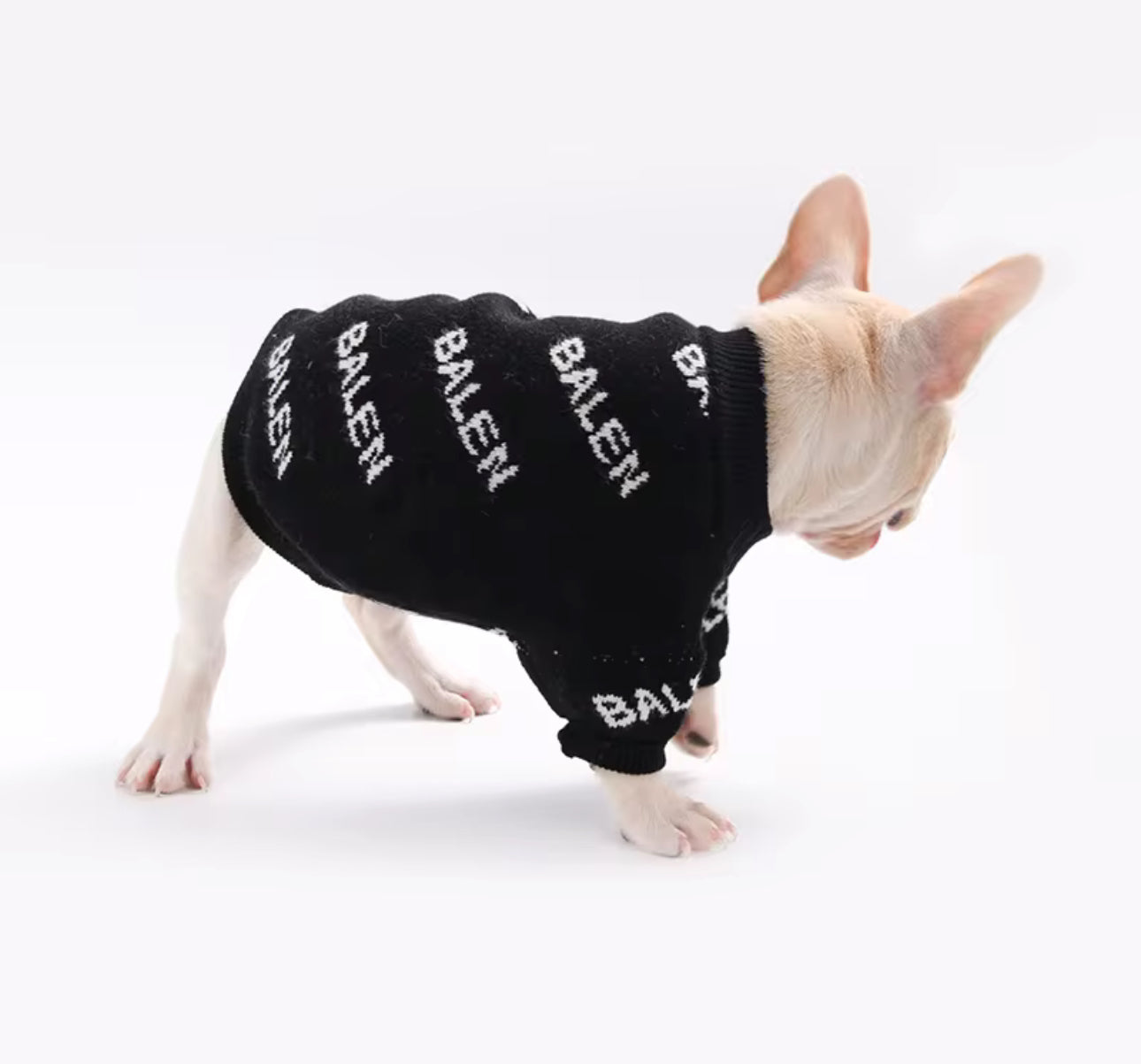 BALENCIAGA STYLE DOG SWEATER