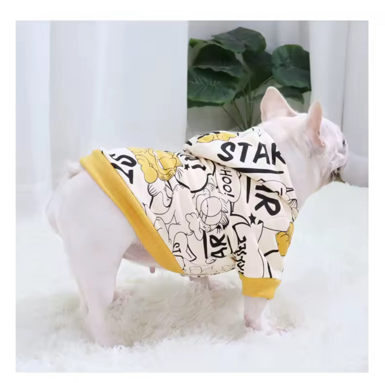 ⭐️COMING SOON⭐️STAR CARTOON DOG HOODIE