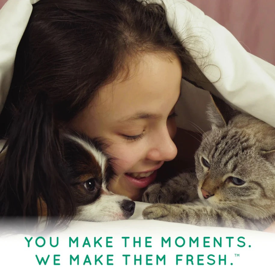 PAPAYA AND COCONUT FOAMING WATERLESS SHAMPOO for Pets