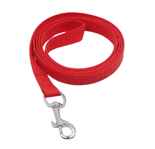 47" Leash