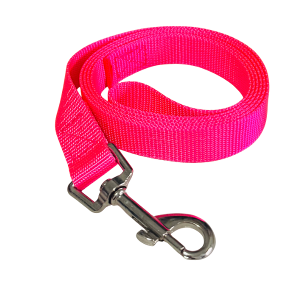 47" Leash