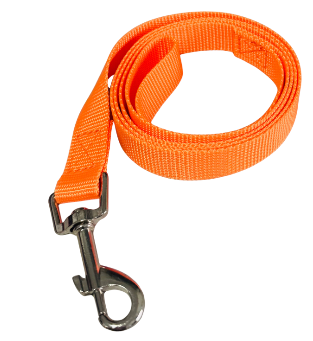 47" Leash
