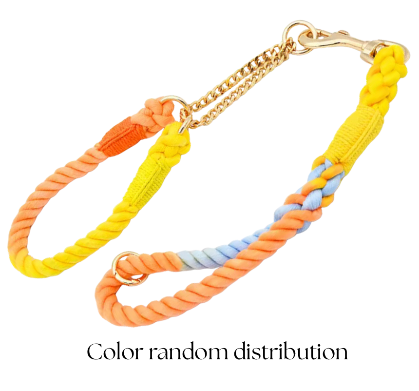 ⭐️NEW ITEM⭐️ BRAIDED DOG LEASH AND COLLAR SET