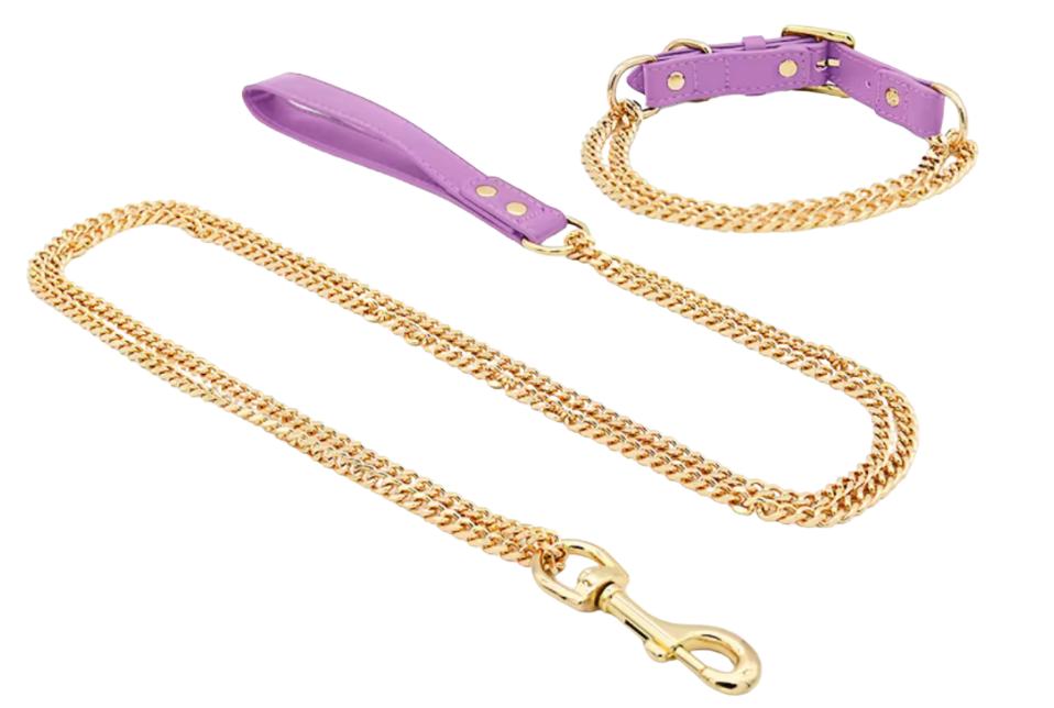 Harness, Collars & Leash