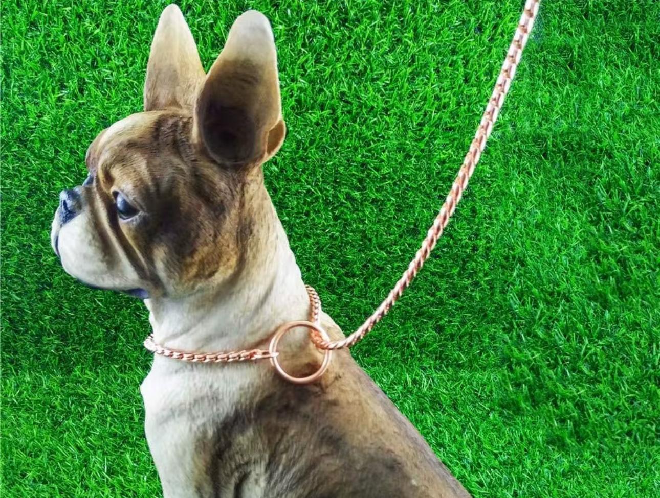SHOW LEAD LEASH