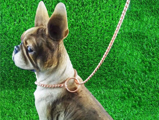 SHOW LEAD LEASH