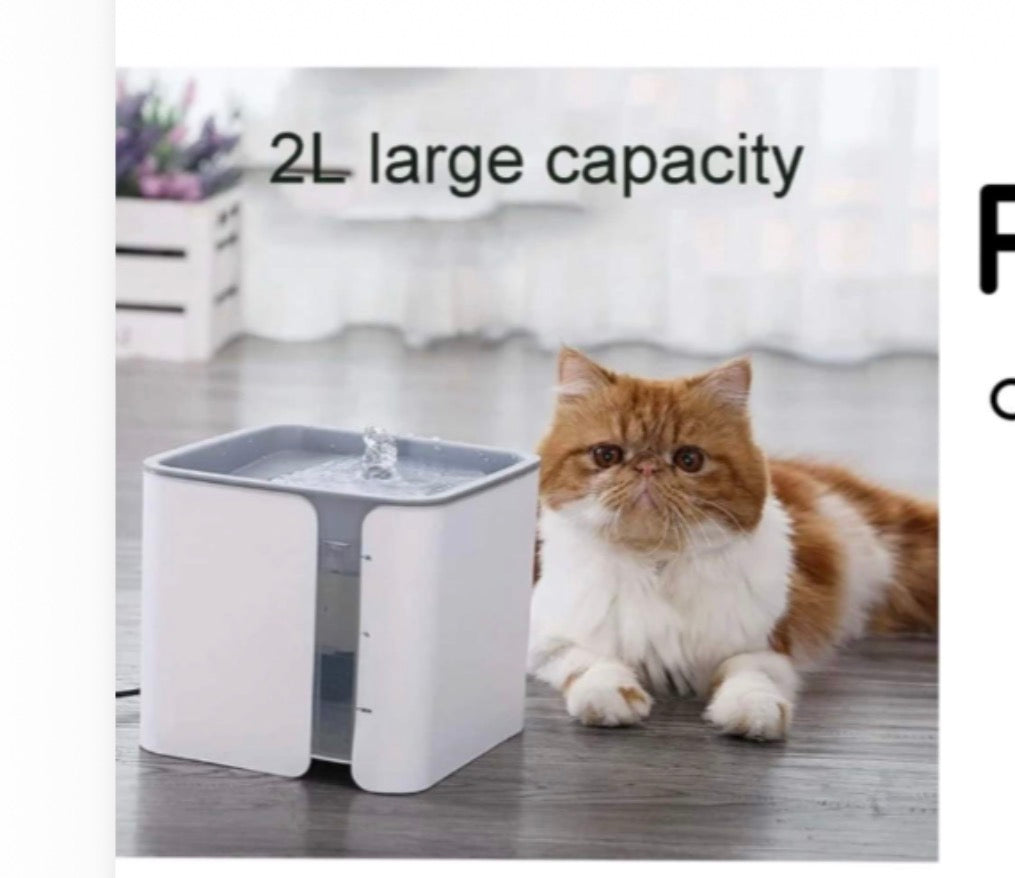 CAT DRINKING FOUNTAIN