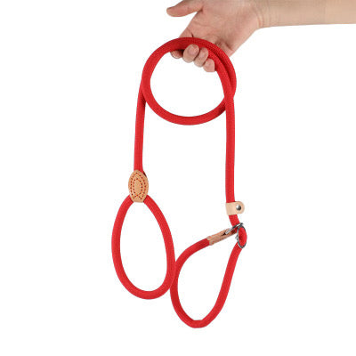 ⭐️NEW ITEM⭐️NYLON ROPE LEASH