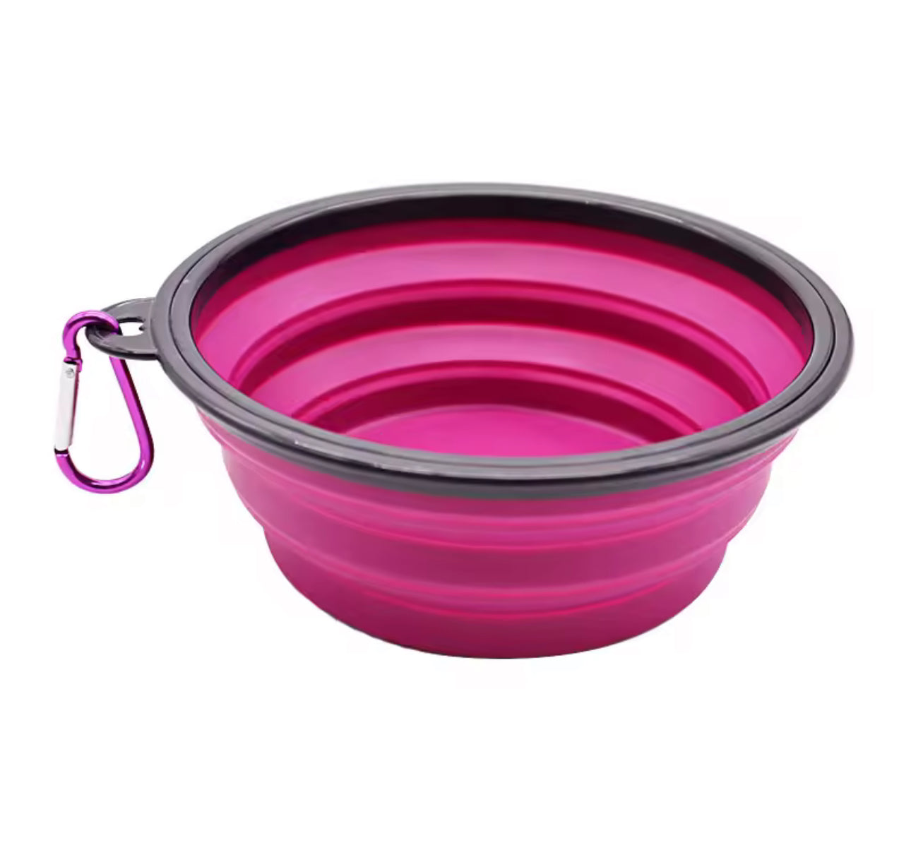 Pet Folding Silicone Bowl