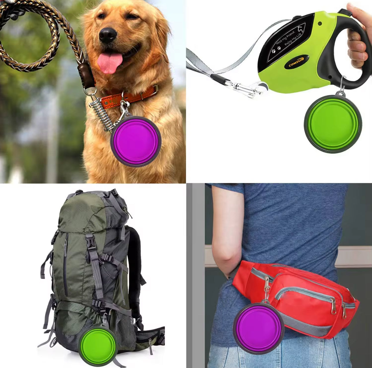 Pet Folding Silicone Bowl