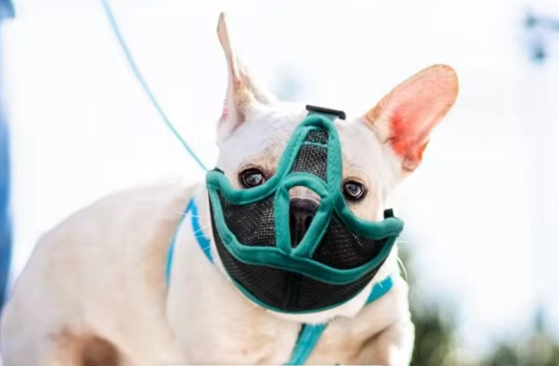 DOG MOUTH COVER