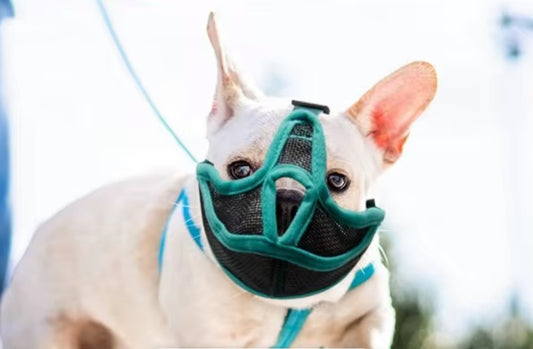 DOG MOUTH COVER