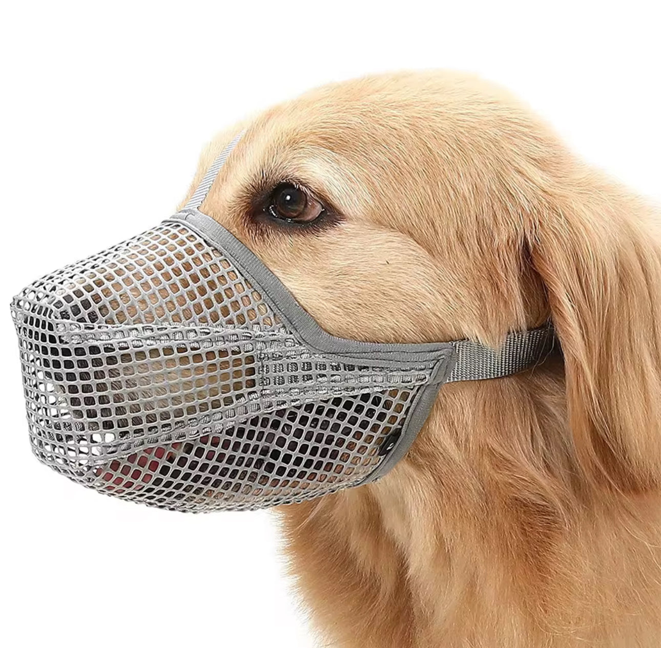 DOG MOUTH COVER