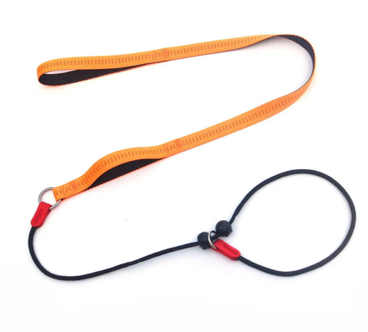⭐️NEW ITEM⭐️COMPETITION-GRADE DOG TRAINING LEASH