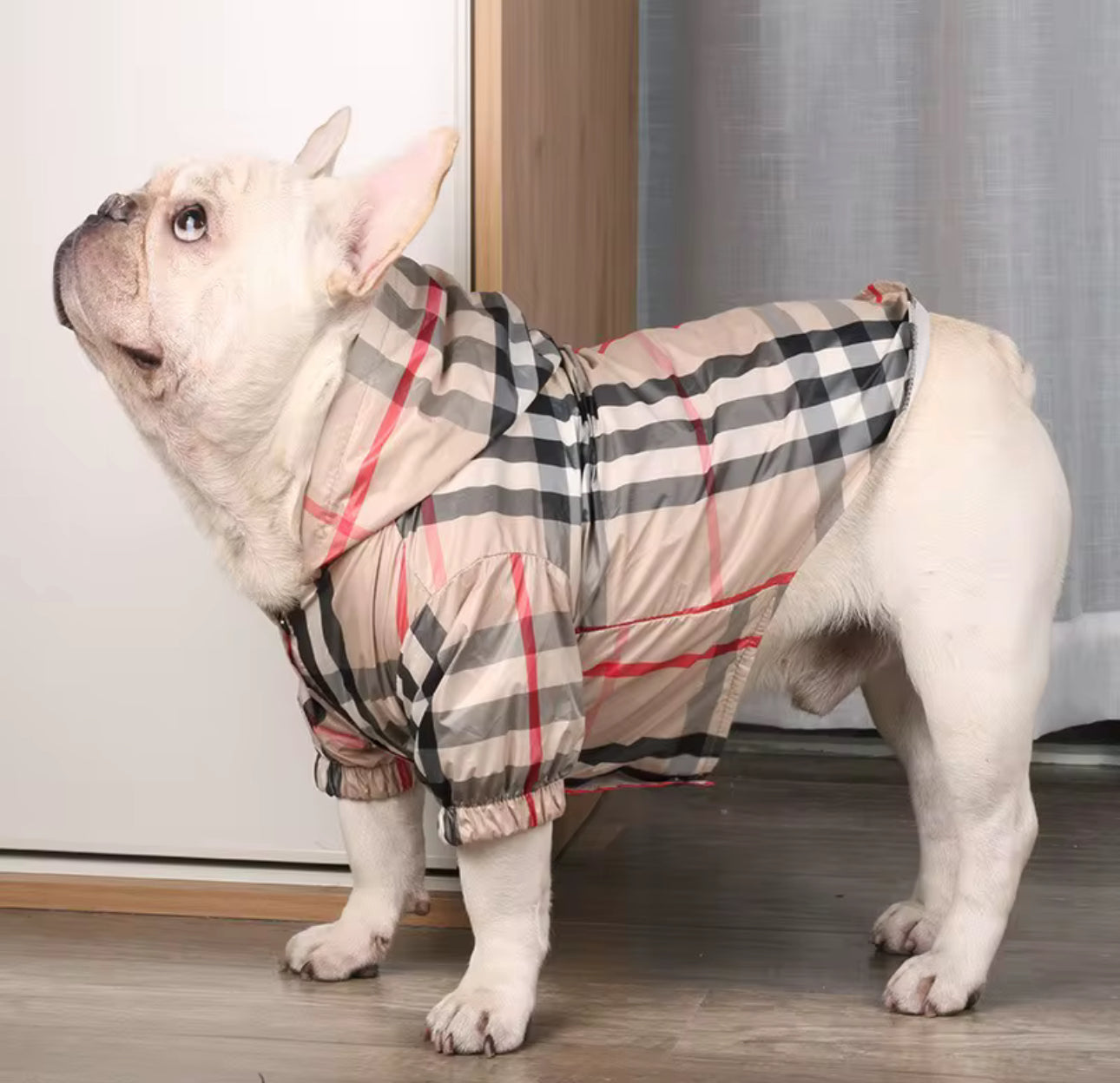 FASHION DOG RAIN COAT