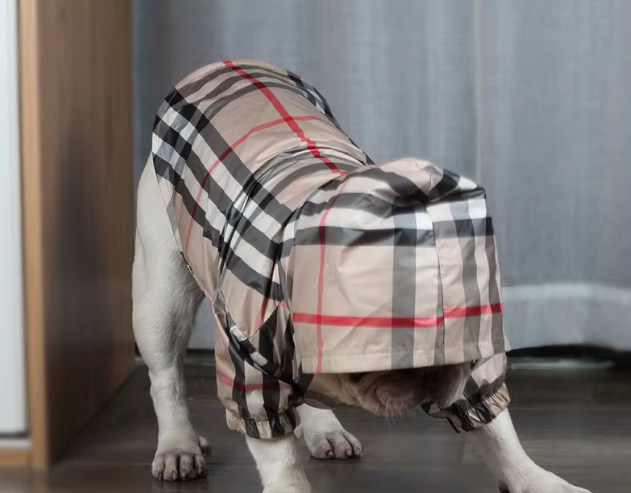 FASHION DOG RAIN COAT