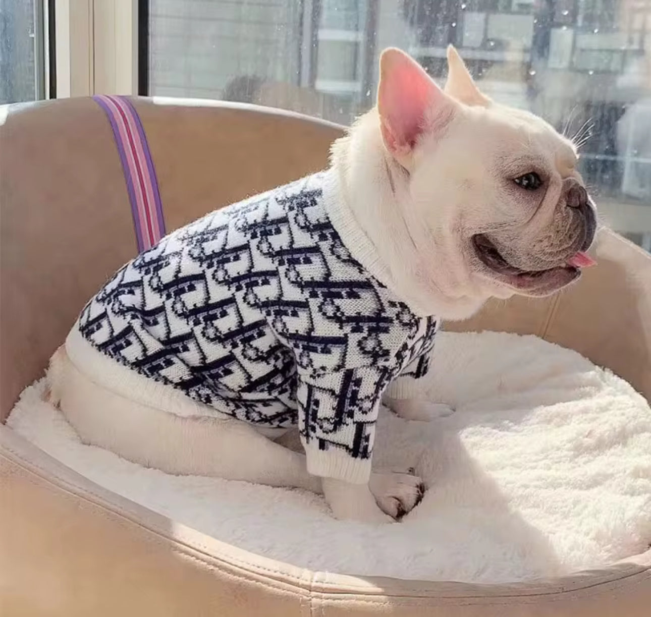 LUXURY DOG SWEATER