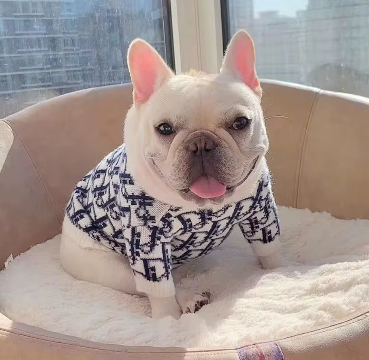 LUXURY DOG SWEATER