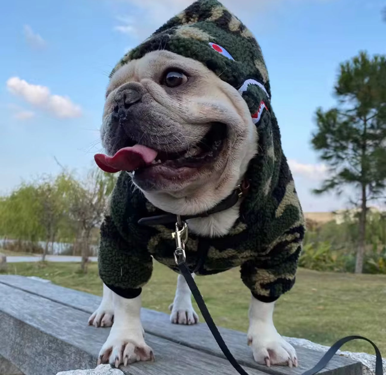CAMOUFLAGE DOG DESIGNER JACKET