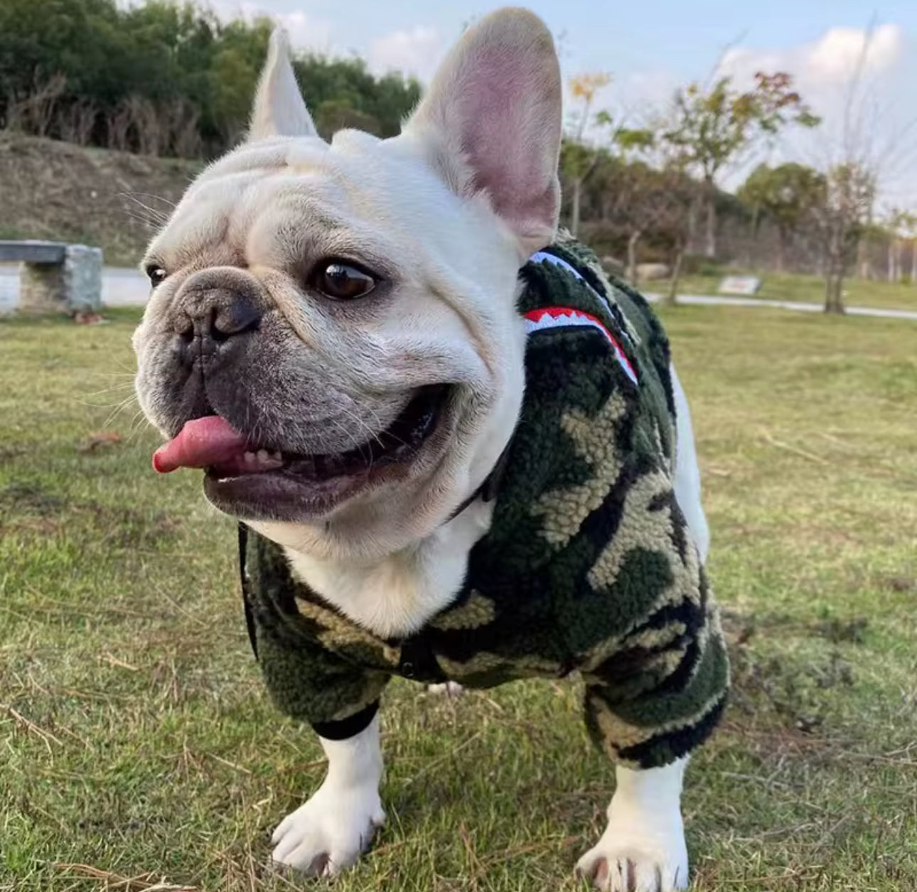 CAMOUFLAGE DOG DESIGNER JACKET