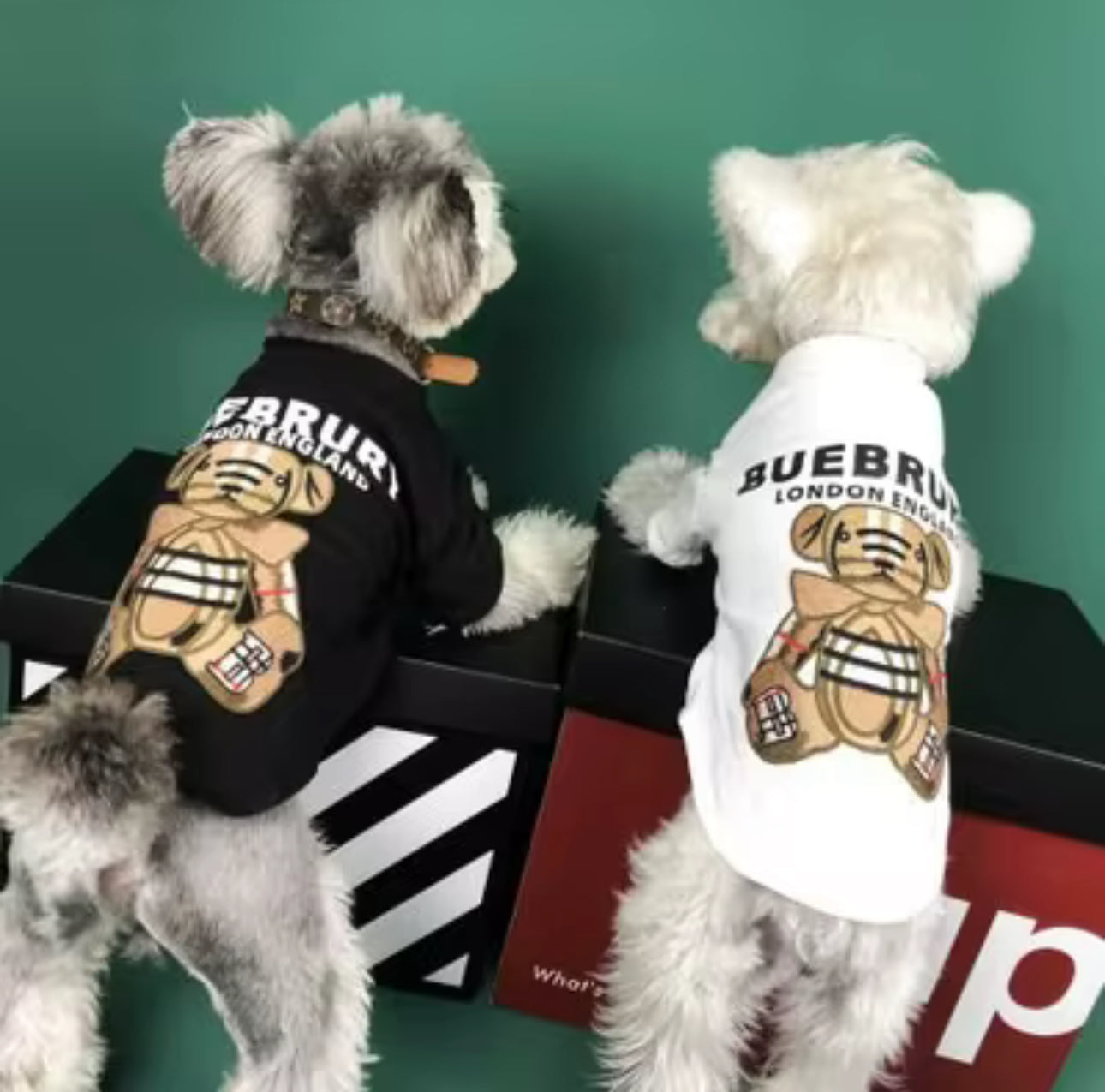 TEDDY T-SHIRT