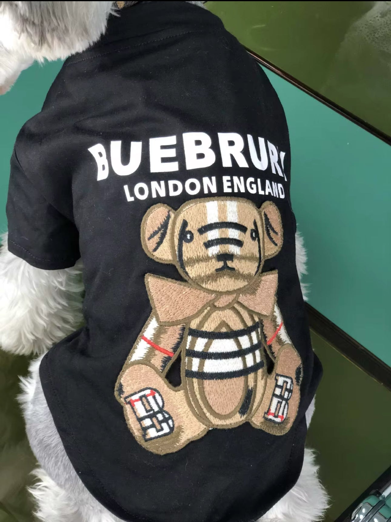 TEDDY T-SHIRT