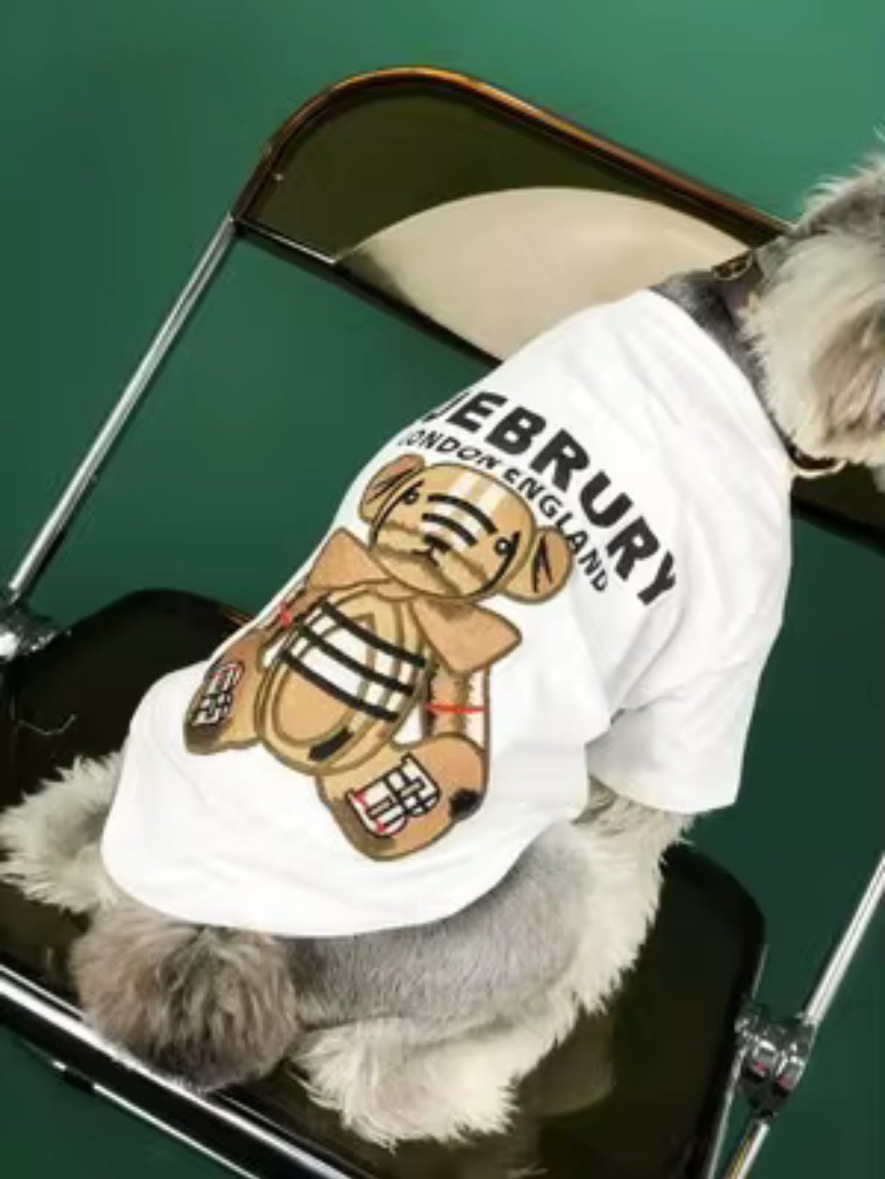 TEDDY T-SHIRT