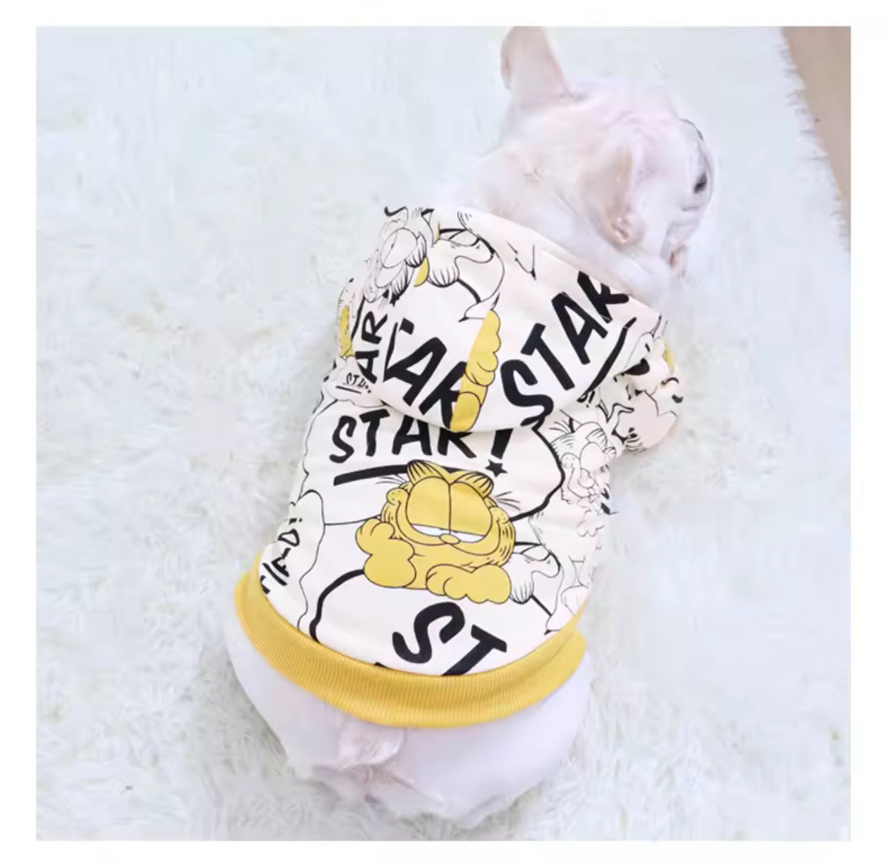 ⭐️COMING SOON⭐️STAR CARTOON DOG HOODIE