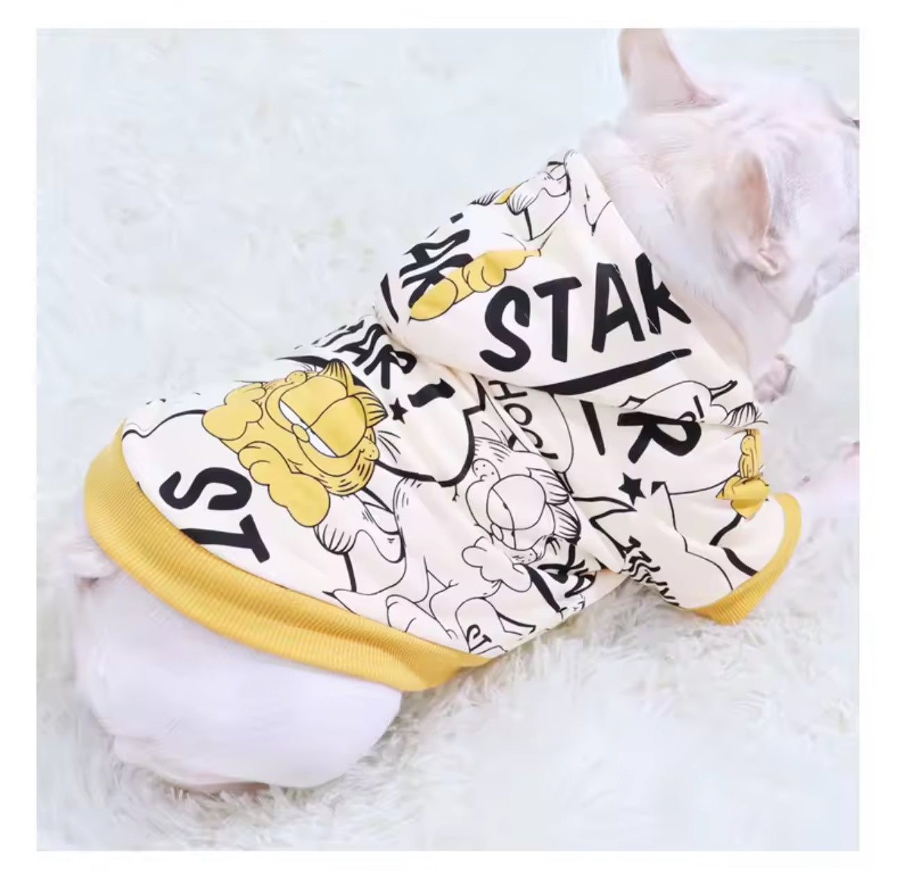 ⭐️COMING SOON⭐️STAR CARTOON DOG HOODIE