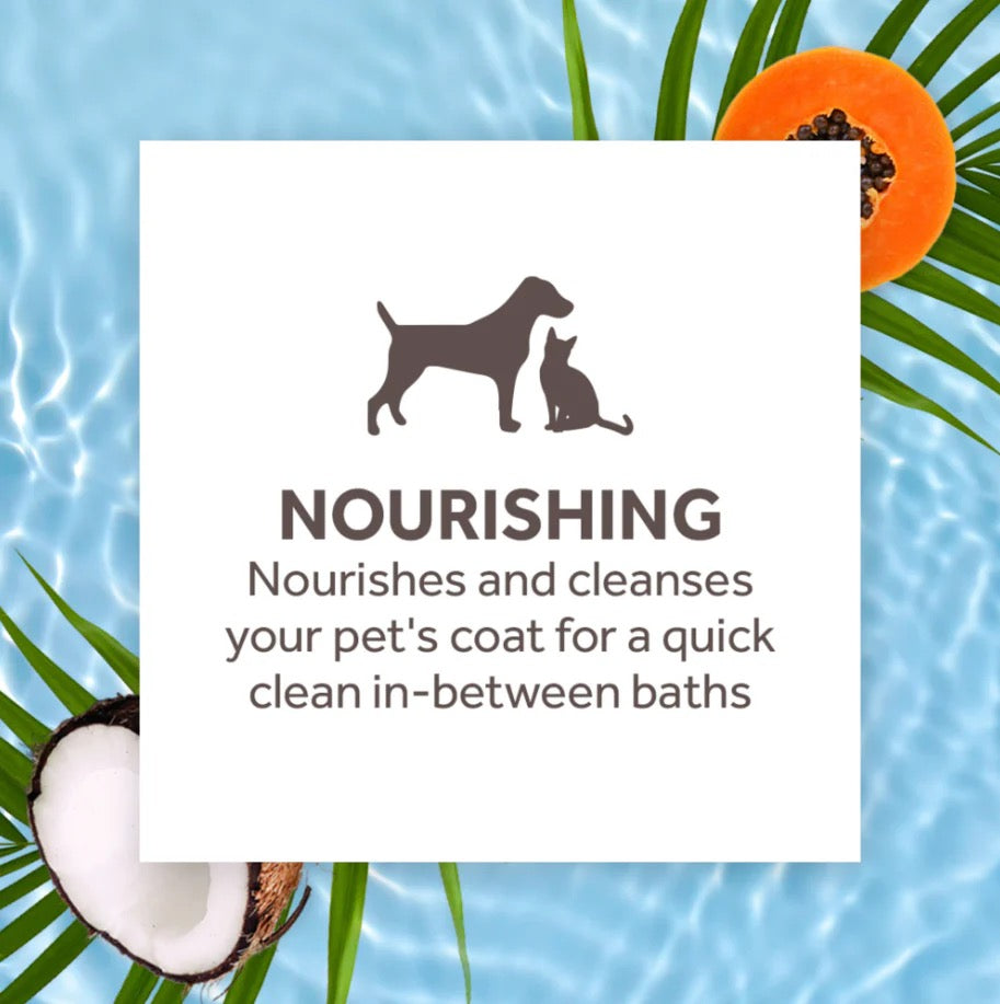 PAPAYA AND COCONUT FOAMING WATERLESS SHAMPOO for Pets
