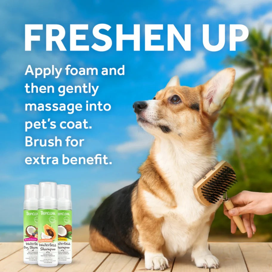 PAPAYA AND COCONUT FOAMING WATERLESS SHAMPOO for Pets
