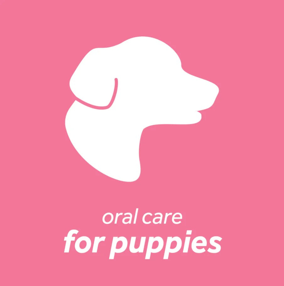 Dental Health Solution for Puppies 8oz