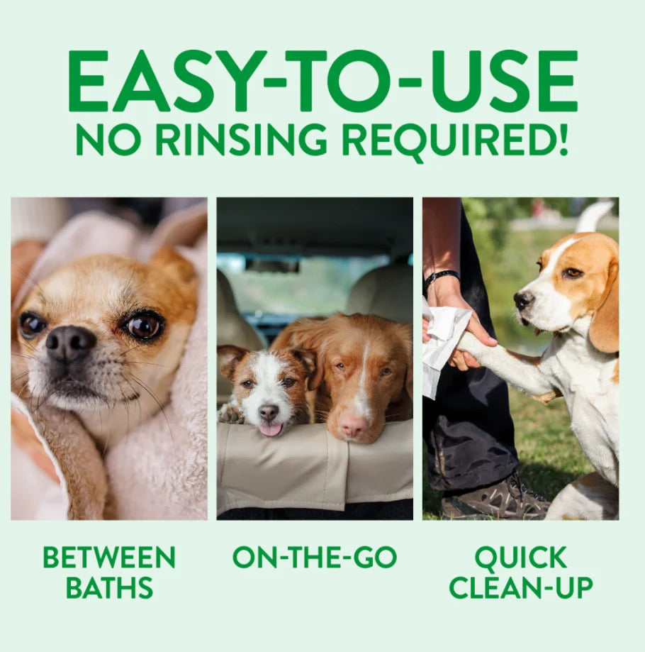 PAPAYA AND COCONUT FOAMING WATERLESS SHAMPOO for Pets