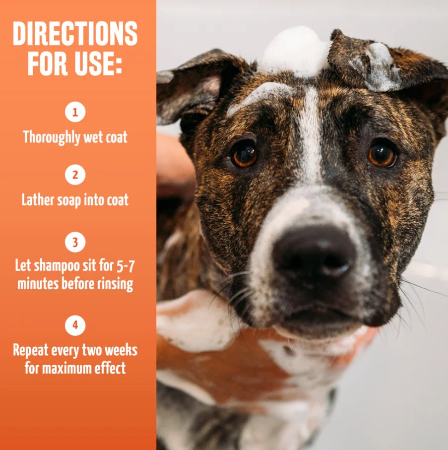 NATURAL FLEA & TICK SHAMPOO, MAXIMUM STRENGTH FOR DOGS