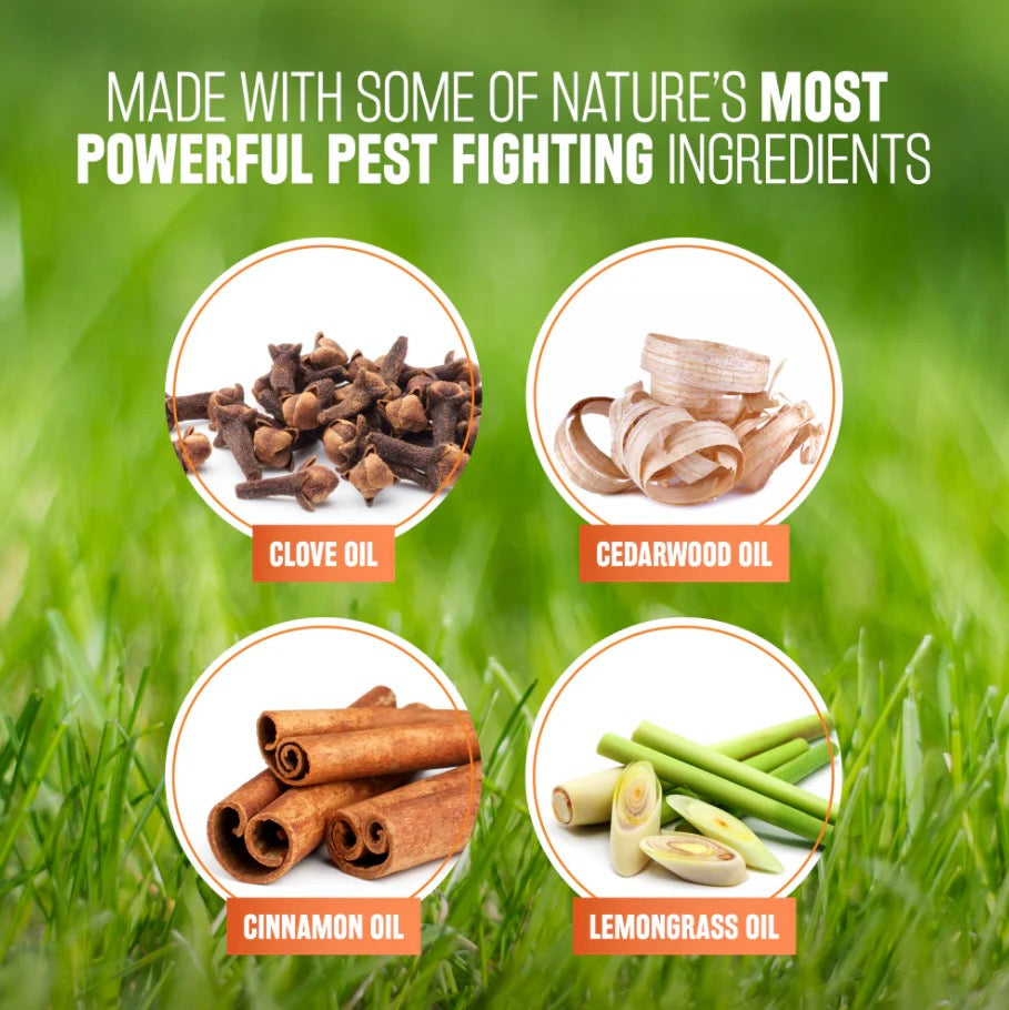 NATURAL* FLEA + TICK DOG & BEDDING SPRAY