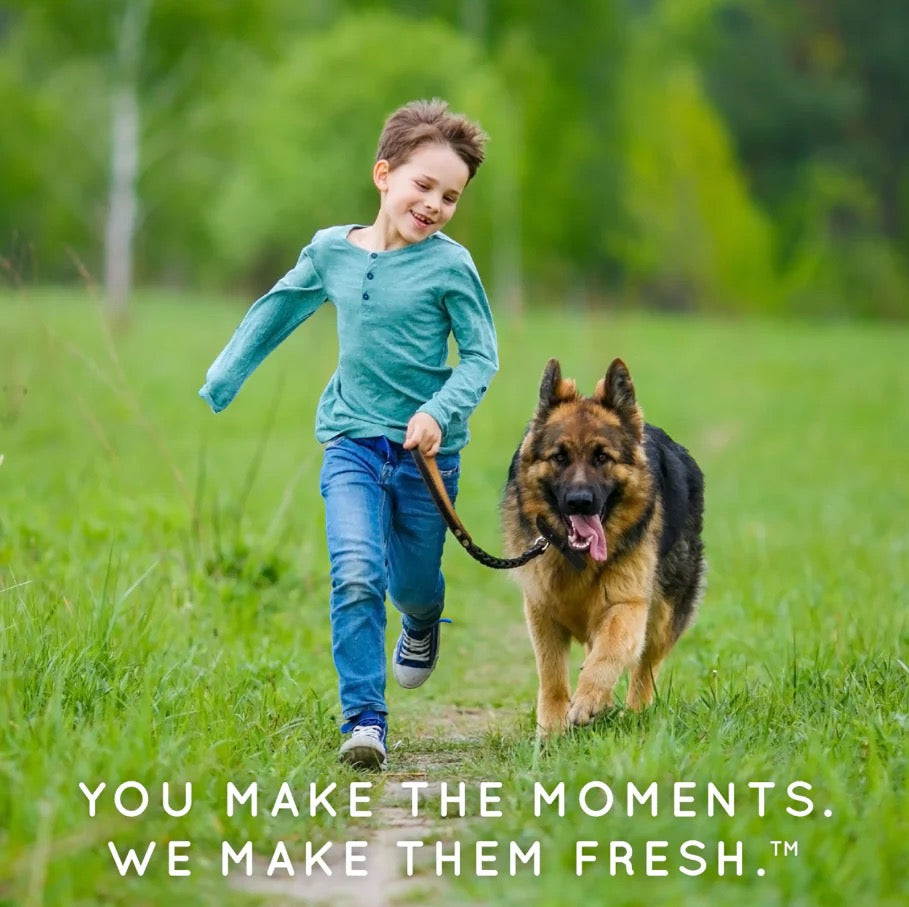 NATURAL* FLEA + TICK DOG & BEDDING SPRAY