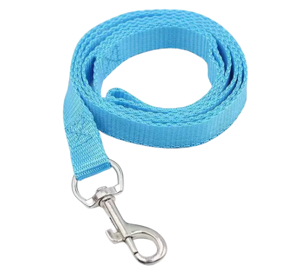 47" Leash