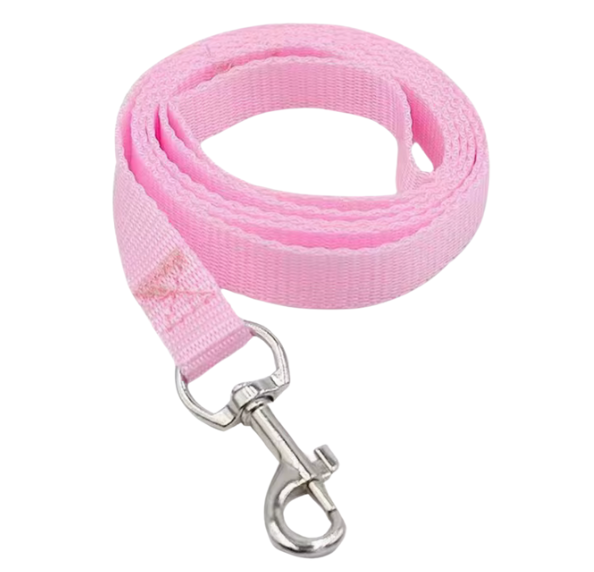 47" Leash