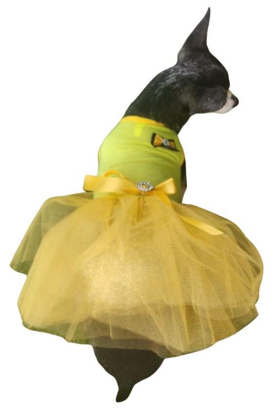 Small Pet Dress