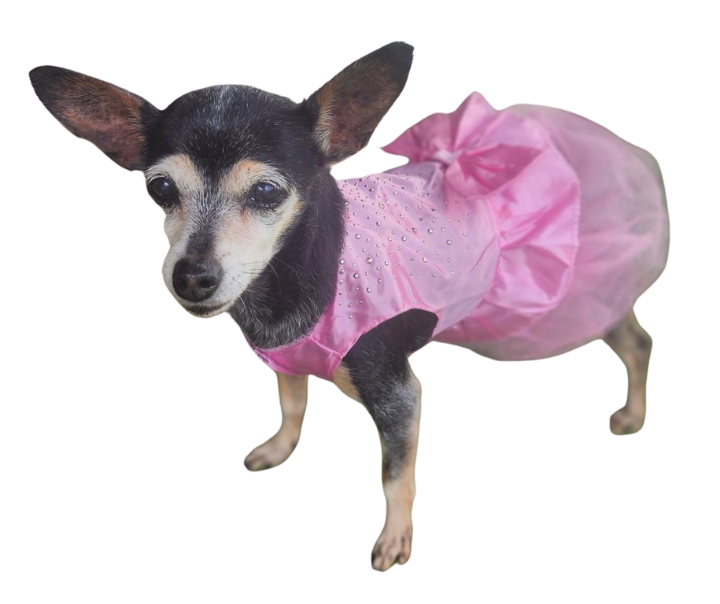 Small Pet Dress