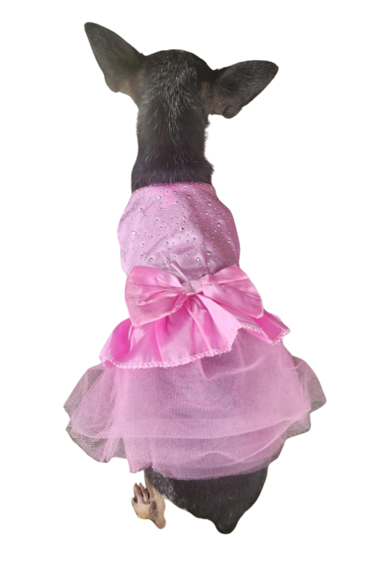 Small Pet Dress