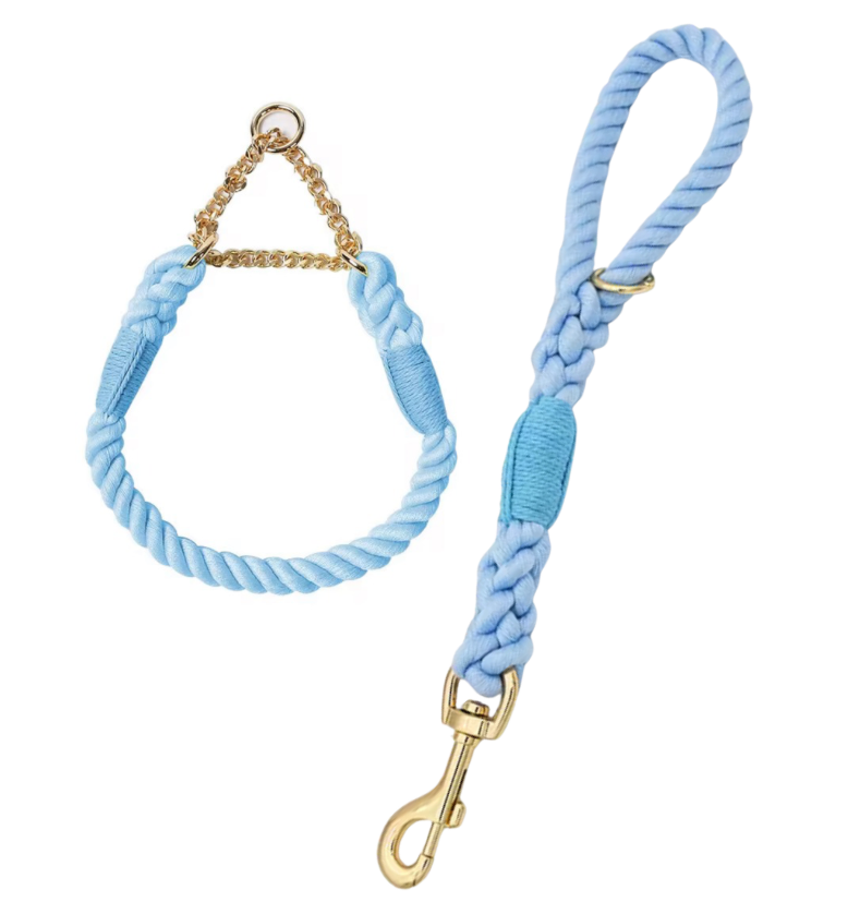 ⭐️NEW ITEM⭐️ BRAIDED DOG LEASH AND COLLAR SET