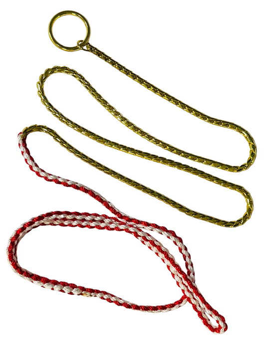 CORREA DE ADIESTRAMIENTO PARA PERROS CON CORREA TRENZADA