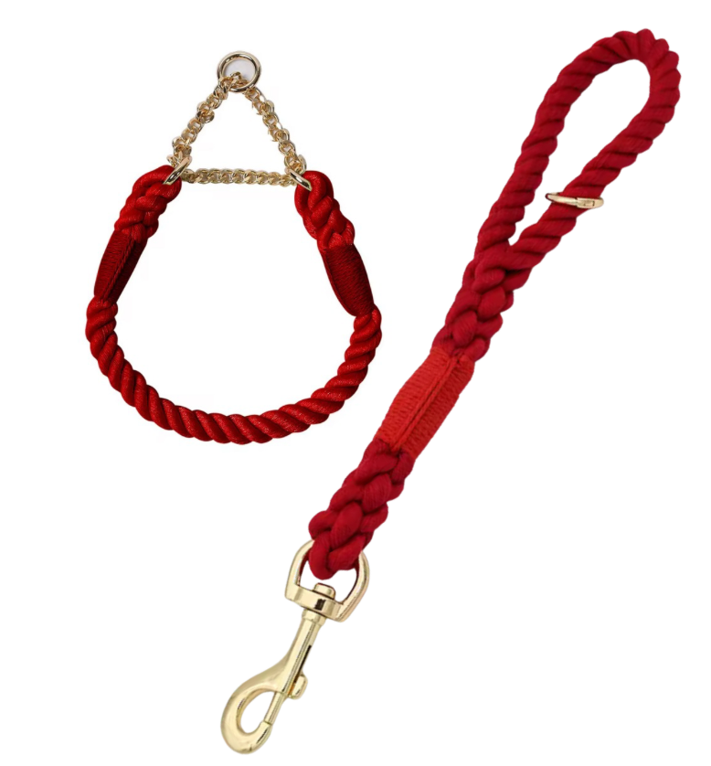 ⭐️NEW ITEM⭐️ BRAIDED DOG LEASH AND COLLAR SET